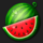 wild cash nine thousand ninety watermelon symbol icon