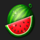wild cash watermelon symbol icon