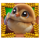 wild chicken brown chick symbol icon