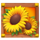 wild chicken flower symbol icon