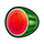 wild classic scatter watermelon symbol icon