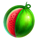 wild coin 1000 melon symbol icon