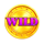 wild coin 1000 wild symbol icon