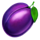wild craps plum symbol icon