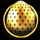 wild easter gifts golden egg symbol icon