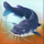 wild fishing blue fish symbol icon