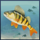 wild fishing striped fish symbol icon