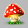 wild fortunes mushroom symbol icon
