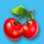 wild fruit jam cherry symbol icon