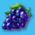 wild fruit jam grapes symbol icon