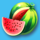 wild fruit jam watermelon symbol icon