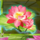 wild giant panda flower symbol icon