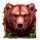 wild hike bear symbol icon