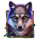 wild hike wolf symbol icon