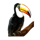 wild krakatoa toucan symbol icon