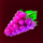 wild lady cash 10 grapes symbol icon