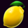 wild lady cash 10 lemon symbol icon
