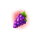 wild love grape symbol icon