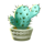 wild luchador cactus symbol icon