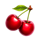 wild million cherries symbol icon