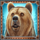 wild north bear symbol icon