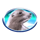 wild penguin seal symbol icon