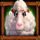 wild rush bunny lamb symbol icon