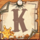 wild saloon k symbol icon
