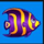 wild shark fish symbol 1 icon