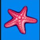 wild shark starfish symbol icon