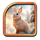 wild snow spin rabbit symbol icon