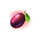 wild streak plum symbol icon
