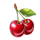 wild sunflower cherry symbol icon