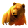 wild survivor grizzly symbol icon