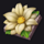 wild swarm 2 flower symbol icon