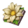 wild swarm 3 chocolate eggs flower 1 symbol icon