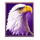 wild thunder eagle symbol icon