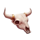 wild west express skull symbol icon