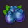 wild wild fruit blueberries symbol icon