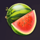 wild wild fruit watermelon symbol icon