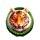 wildgladiatorstigersymbol icon