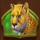 win a beest leopard symbol icon