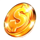 win storm deluxe gold coin symbol icon