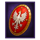winged hussars hold and win shield symbol icon