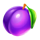 winter star plum symbol icon