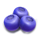 winterberries 2 blueberry symbol icon