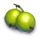 winterberries 2 greenberry symbol icon