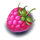 winterberries 2 rasberry symbol icon