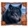 wolf canyon hold and win black dog symbol icon
