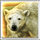 wolf fang snowfall polar bear symbol icon